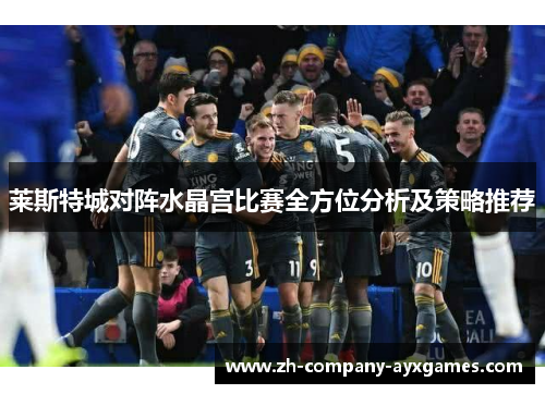 莱斯特城对阵水晶宫比赛全方位分析及策略推荐