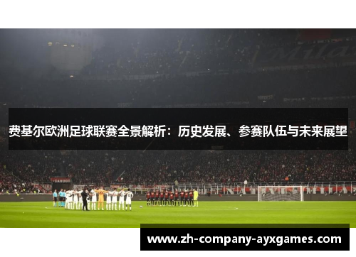 费基尔欧洲足球联赛全景解析：历史发展、参赛队伍与未来展望