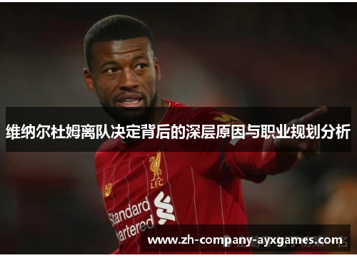 维纳尔杜姆离队决定背后的深层原因与职业规划分析