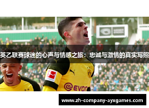 英乙联赛球迷的心声与情感之旅：忠诚与激情的真实写照